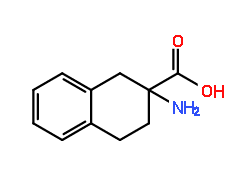 2-Amino-1,2,3,4-tetrahydro-naphthalene-2-carboxylic acid